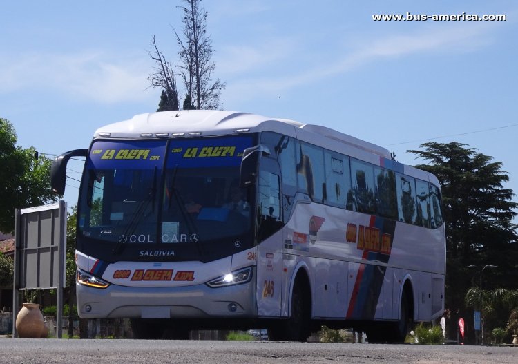 Mercedes-Benz O 500 M - Saldivia Aries 345/1050 - Coop.La Calera
[url=https://bus-america.com/galeria/displayimage.php?pid=69826]https://bus-america.com/galeria/displayimage.php?pid=69826[/url]

Coop. La Calera (Prov. Córdoba), interno 246
