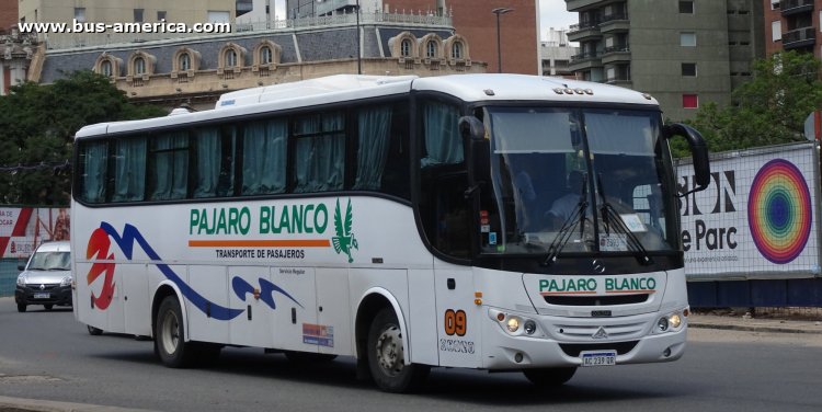 Mercedes-Benz OF 1721 - Saldivia Aries 2 345 - Pajaro Blanco
AC 239 QR
[url=https://bus-america.com/galeria/displayimage.php?pid=62746]https://bus-america.com/galeria/displayimage.php?pid=62746[/url]

Pajaro Blanco (Prov. Córdoba), patente provincial 2393, interno 09
