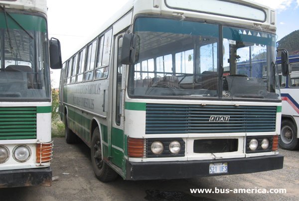 FIAT 319A - San Antonio (en Bolivia) - Universidad de Chuquisaca
Estos mnibus identicos a los Cametal Nahuel IIU fueron vendidos junto con estos, segn informaron, y comprados por el gobierno de Bolivia en la decada del 80 y cedidos a diversas municipalidades. En Sucre estos servicios manejados por la municipalidad tenian un pasaje mas costoso que las otras lnea, razn por la cual pocos pasajeros los abordaban. Este ltimo motivo hizo que el servicio fuese suspendido finalmente
