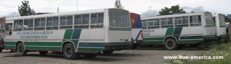FIAT 319A - San Antonio (en Bolivia) - Universidad de Chuquisaca
Estos mnibus identicos a los Cametal Nahuel IIU fueron vendidos junto con estos, segn informaron, y comprados por el gobierno de Bolivia en la decada del 80 y cedidos a diversas municipalidades. En Sucre estos servicios manejados por la municipalidad tenian un pasaje mas costoso que las otras lnea, razn por la cual pocos pasajeros los abordaban. Este ltimo motivo hizo que el servicio fuese suspendido finalmente
