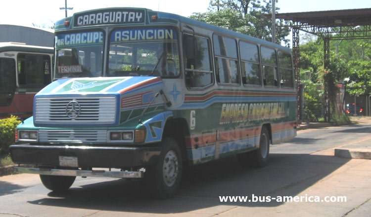 Mercedes Benz L - El 14 - Caraguatay
