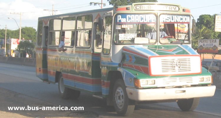 Mercedes-Benz L - Caraguatay
Caraguatay (Asunción), interno 10
