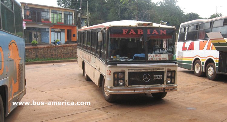 Mercedes Benz LO 1114 frontalizado - Andrekevich - Fabian Bis
