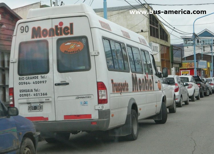 Mercedes-Benz Sprinter 413 CDI - Montiel
GUT383
