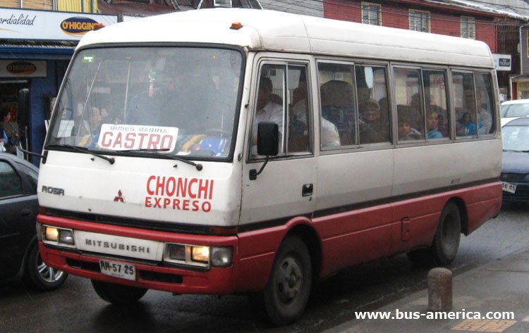 Mitsubishi Rosa (en Chile) - Chonchi Expreso
RH5725
