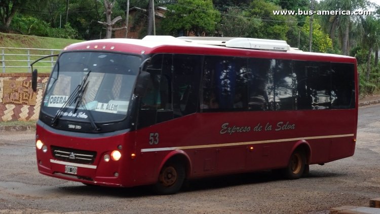 Agrale MA 10.0 - Todo Bus Zafiro - Exp. De La Selva
OBA 546
[url=https://bus-america.com/galeria/displayimage.php?pid=49686]https://bus-america.com/galeria/displayimage.php?pid=49686[/url]

Exp. de la Selva (Prov. Misiones), interno 53
