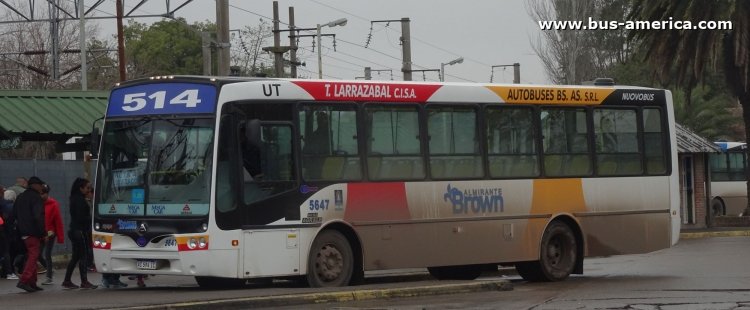 Agrale MT 15.0 LE - Nuovobus Menghi - UT Larrazabal , Autobuses Bs.As.
AC 594 IC

Línea 514 (Pdo. Alte. Brown), interno 5647



Archivo originalmente posteado en agosto de 2018

