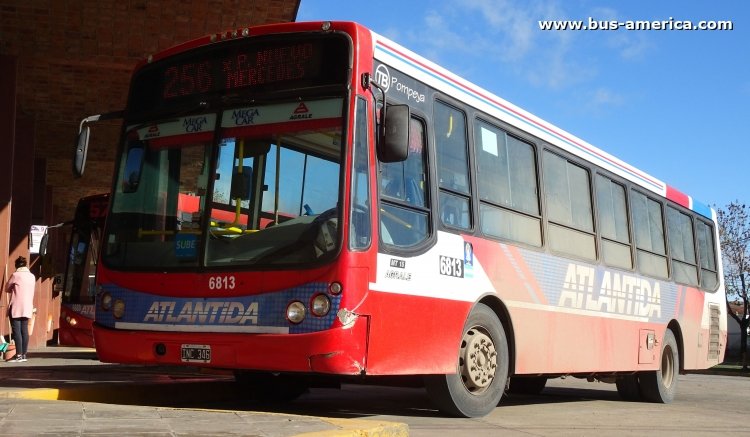 Agrale MT 15.0 LE - Todo Bus Pompeya - La Flor de Luján , Atlántida
INC 346
[url=http://galeria.bus-america.com/displayimage.php?pid=45930]http://galeria.bus-america.com/displayimage.php?pid=45930[/url]

Línea 256 (Pcia. Buenos Aires), unidad 6813



Archivo posteado originalmente en mayo de 2019
Previa a su desaparición
