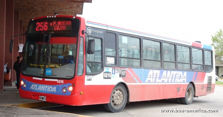 Agrale MT 15.0 LE - Todo Bus Pompeya - La Flor de Luján , Atlántida
ISX 006
[url=http://galeria.bus-america.com/displayimage.php?pid=45932]http://galeria.bus-america.com/displayimage.php?pid=45932[/url]

Línea 256 (Pcia. Buenos Aires), unidad 6816



Archivo posteado originalmente en mayo de 2019
Previa a su desaparición
