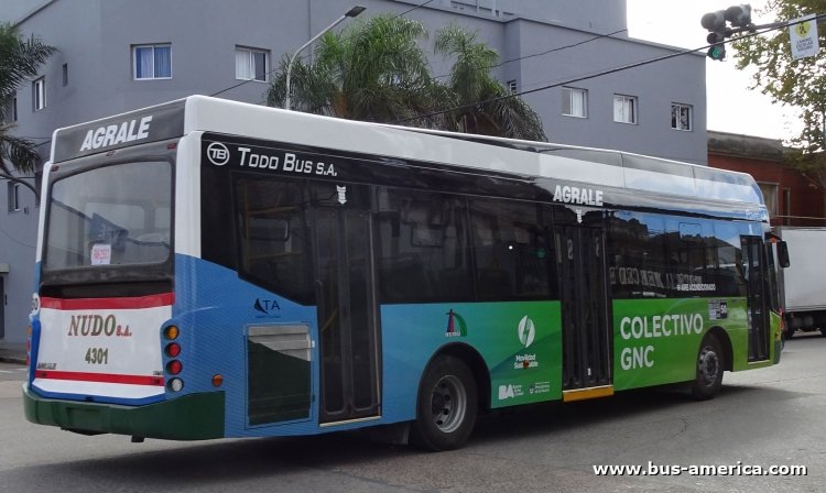 Agrale MT 17.0 LE - Todo Bus Pompeya III - NUDO
Línea 50 (Buenos Aires), interno 4301



Archivo originalmente posteado en mayo de 2019

