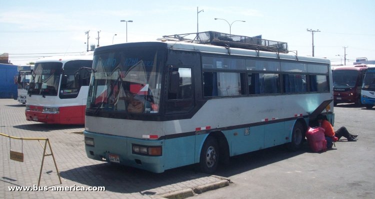 Asia Cosmos AM 818 (para Perú) - Danubio Azul
Z4A-954

Línea Arica-Tacna
