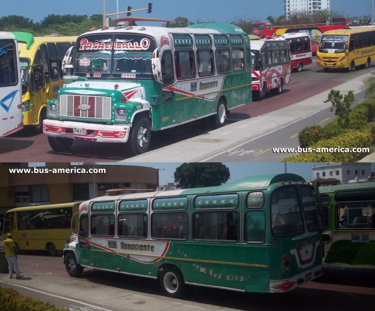 Chevrolet Kodiak B-70 - Supercarrocerías Del Norte - Renaciente
UVW432

Ruta 33 (Pasacaballos), unidad 83
Ex Sobusa (Barranquilla)
