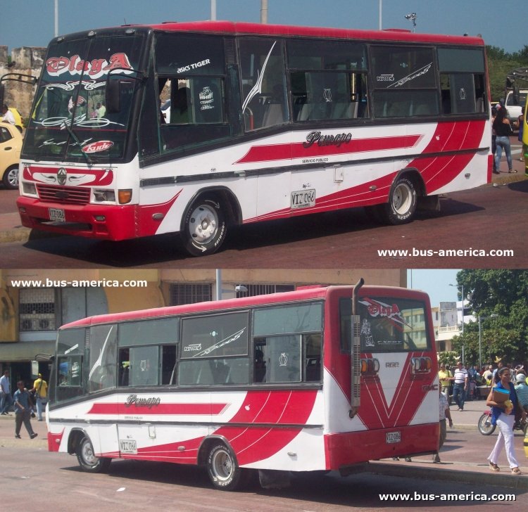 Isuzu NPR - A.G.A. - Pemape
VIZ086
