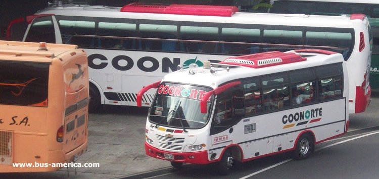Isuzu NPR - JGB Ibiza - Coonorte
TRG711
