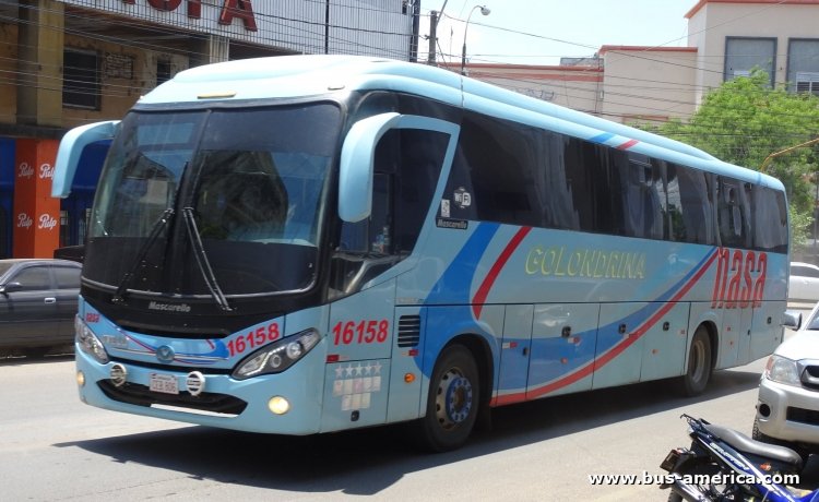 Iveco 170S28 - Mascarello Roma M4 (en Paraguay) - NASA , Golondrina
CEB 806
[url=https://bus-america.com/galeria/displayimage.php?pid=49858]https://bus-america.com/galeria/displayimage.php?pid=49858[/url]

NASA - Golondrina, interno 16158
