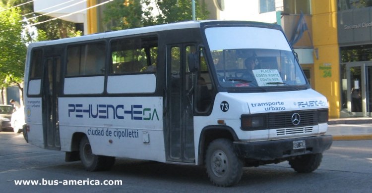 Mercedes-Benz LO 814 - Marri Colonnese - Pehuenche
BUT938

