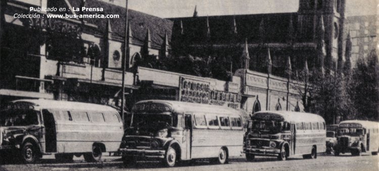 Mercedes-Benz LO 1114 - CEAP - Expreso Caraza
C.560694

Línea 188 (Buenos Aires), interno 32

Fotografía publicada en : Diario La Prensa

