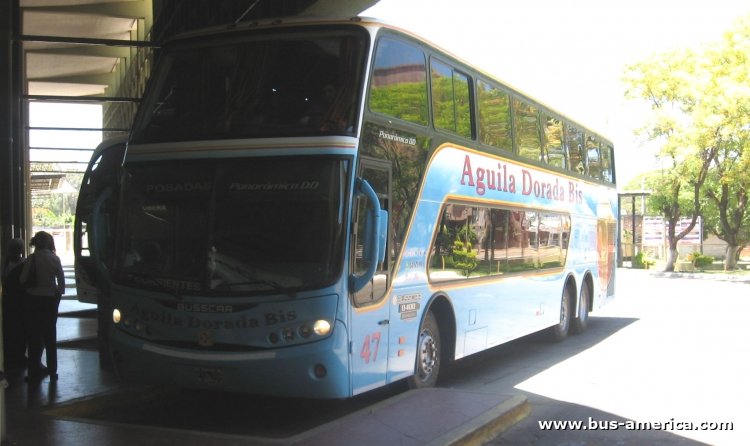 Mercedes-Benz O 400 RSD - Busscar Panorámico DD (en Argentina) - Aguila Dorada Bis
FAV398

Aguila Dorada Bis, interno 47
