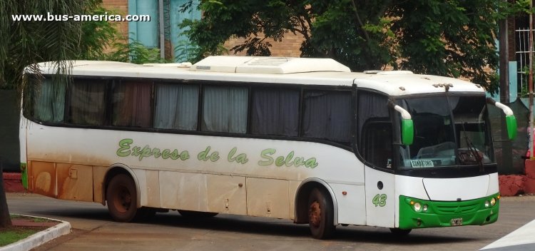 Mercedes-Benz O 500 M - Saldivia Aries 2 325 - Exp. de la Selva
HMZ 442
[url=https://bus-america.com/galeria/displayimage.php?pid=49683]https://bus-america.com/galeria/displayimage.php?pid=49683[/url]
[url=https://bus-america.com/galeria/displayimage.php?pid=49684]https://bus-america.com/galeria/displayimage.php?pid=49684[/url]

Exp. de la Selva (Prov. Misiones), interno 43
