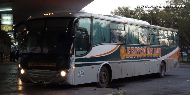 Mercedes-Benz O 500 M - Saldivia Aries 2 325 - Espiga de Oro 
JMS 711
[url=https://galeria.bus-america.com/displayimage.php?pid=46806]https://galeria.bus-america.com/displayimage.php?pid=46806[/url]

Espiga de Oro (Prov. Santa Fe), interno 03




Archivo originalmente posteado en agosto de 2018
