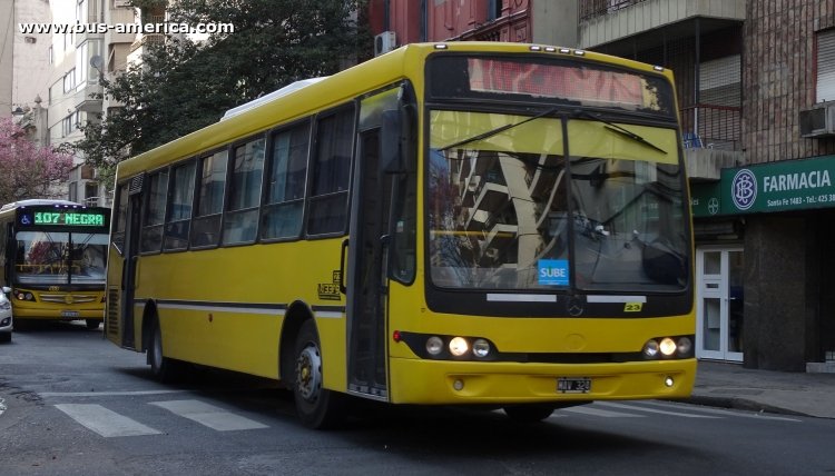 Mercedes-Benz O 500 U - Nuovobus PH 0032 - UTE 33/9
MAV 324
[url=https://bus-america.com/galeria/displayimage.php?pid=48987]https://bus-america.com/galeria/displayimage.php?pid=48987[/url]

UTE 33/9 (Prov. de Santa Fe), interno 23


Archivo originalmente posteado en mayo de 2019
