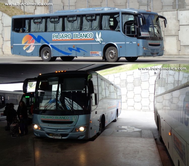 Mercedes-Benz OF 1418 - Saldivia Aries 2 325 - Pájaro Blanco
HTQ469

Pájaro Blanco, interno 50, patente provincial 0083
