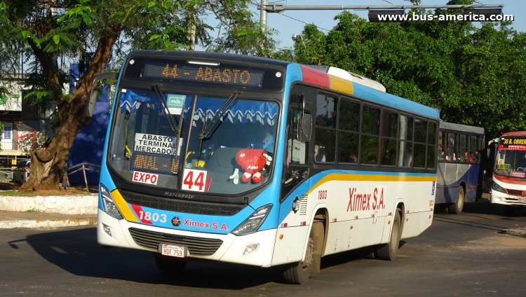 Mercedes-Benz OF 1721 - Marcopolo Novo Torino - Ximex
HDF 759

Línea 44 (Asunción), unidad 1803
