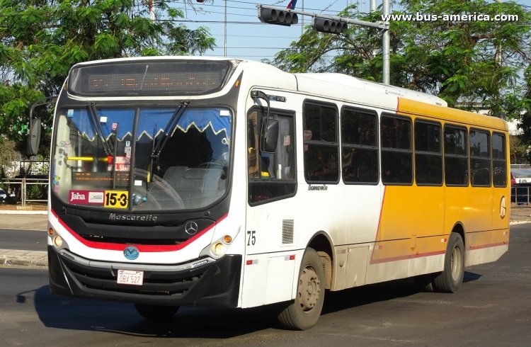 Mercedes-Benz OF 1721 - Mascarello Gran Via (en Paraguay) - Automotores Guaraní
OBX 527

Línea 15-3 (Asunción), unidad 75
