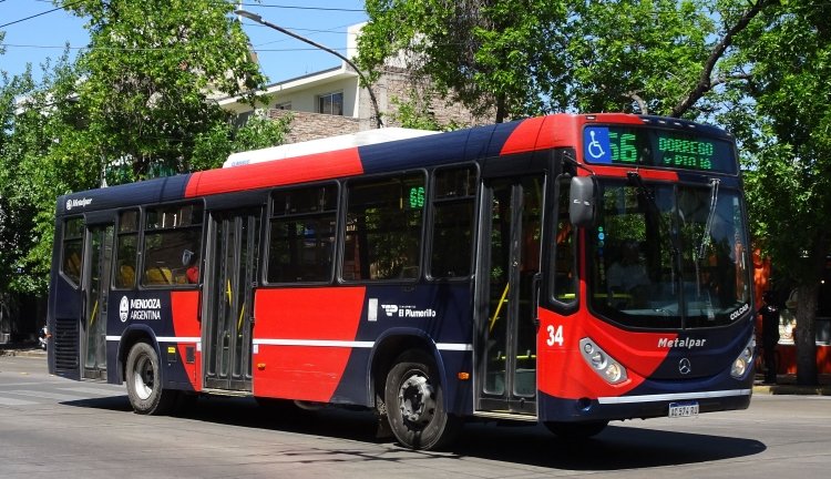 Mercedes-Benz OH 1621 L SB - Metalpar Iguazú Nueva Generación - El Plumerillo
AC574RU

Línea 66 (Mendoza), interno 34



Archivo posteado originalmente en diciembre de 2018

