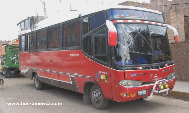 Mitsubishi Fuso Fighter - Flores - Cosmos
