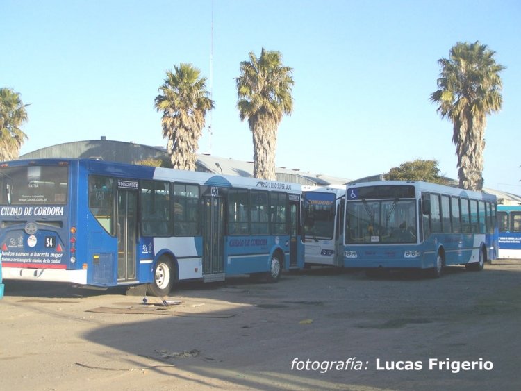 T.A.T.S.A. Puma D-12 - Ciudad de Cordoba
Fotografa: Lucas Frigerio
