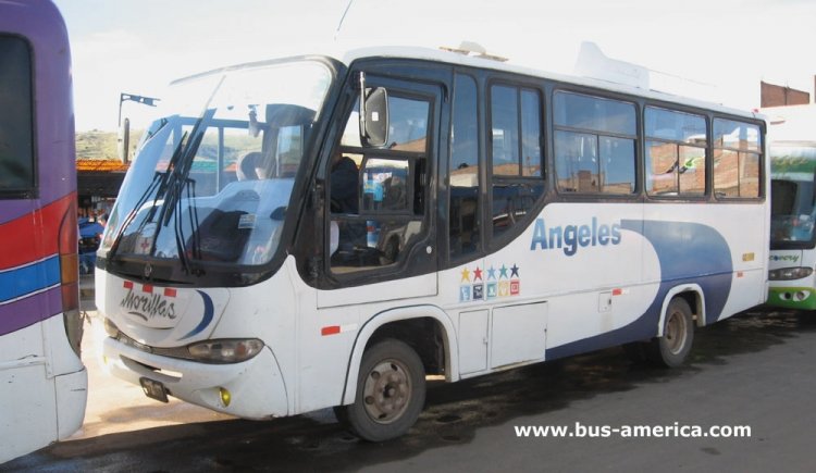 Volkswagen - Rojas - Angeles
