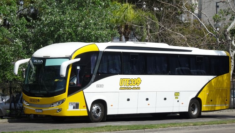 Volkswagen 17.260 OT - Comil Campione Invictus 1050 (en Argentina) - UTE 33/9
AB 355 DZ
[url=https://galeria.bus-america.com/displayimage.php?pid=46194]https://galeria.bus-america.com/displayimage.php?pid=46194[/url]

UTE 9/33 (Prov. de Santa Fe), interno 3936




Archivo originalmente posteado en mayo de 2019
