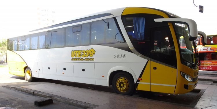 Volkswagen 17.260 OT - Comil Campione Invictus 1050 (en Argentina) - UTE 33/9
AB 355 DY
[url=https://galeria.bus-america.com/displayimage.php?pid=46196]https://galeria.bus-america.com/displayimage.php?pid=46196[/url]

UTE 33/9 (Prov. de Santa Fe), interno 3938




Archivo originalmente posteado en mayo de 2019
