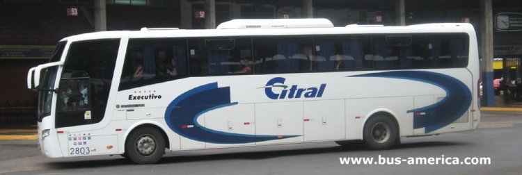 Volvo - Busscar Elegance 340 - Citral
