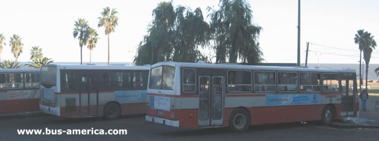 Volvo B58E - Ciferal Padron Rio (en Uruguay) - C.O.E.T.C.
STC1720?
Para conocer mas sobre la historia de esta empresa puede consultar en la nota del [url=http://www.grupoaclo.es.tl/Coetc-_-47-A%F1os-de-Historia.htm]Grupo ACLO sobre C.O.E.T.C.[/url]
