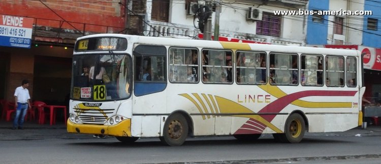 Busscar Urbanuss (en Paraguay) - Lince
Línea 18 (Asunción), unidad 311
