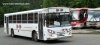 MBOF-LF-sma1Bi09gez491a.jpg