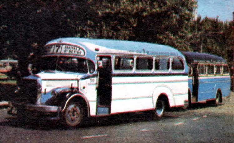 COLECTIVO LINEA 7
FOTOGRAFIA DE COLECCION DE ITALO SORRENTI DEL GRUPO ACLO DE URUGUAY.
CEDIDA PARA COLOCARLAS EN LAS DISTINTAS PAGINAS ARGENTINAS
GRACIAS ITALO
[Datos de adelante hacia atrás, izquierda a derecha]
Palabras clave: URBANO