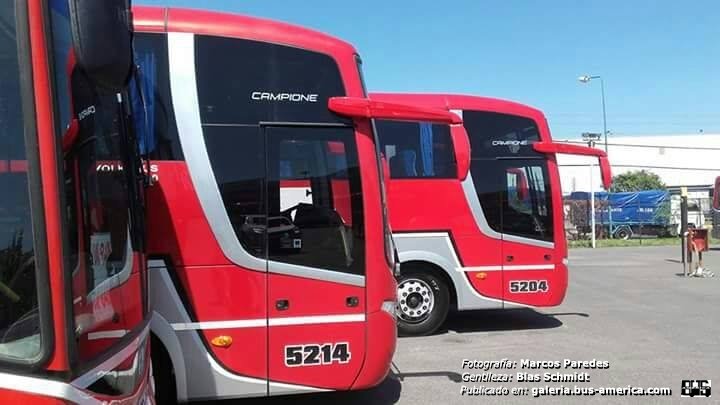 Volksbus 17-260 EOT - Comil Campione 3.45 (en Argentina) - ERSA
Fotografía: Marcos Paredes
Gentileza: Blas Schmidt

[Datos de derecha a izquierda]
