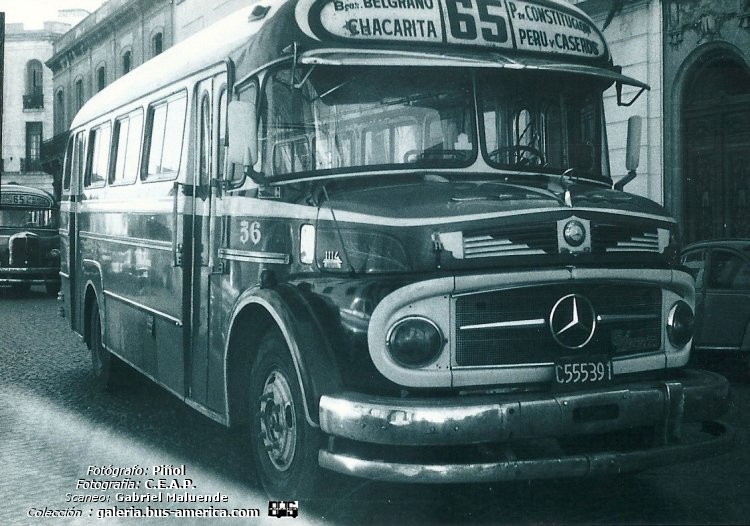 Mercedes-Benz LO 1114 - Alcorta AL - La Nueva Metropol
C.555391
[url=https://bus-america.com/galeria/displayimage.php?pid=48249]https://bus-america.com/galeria/displayimage.php?pid=48249[/url]
[url=https://bus-america.com/galeria/displayimage.php?pid=48250]https://bus-america.com/galeria/displayimage.php?pid=48250[/url]

Línea 65 (Buenos Aires), interno 36

Fotógrafo: Piñol
Fotografía: C.E.A.P.
Por gentileza con el ColeClub de Sergio Ruiz Díaz
Scaneo: Gabriel Maluende
