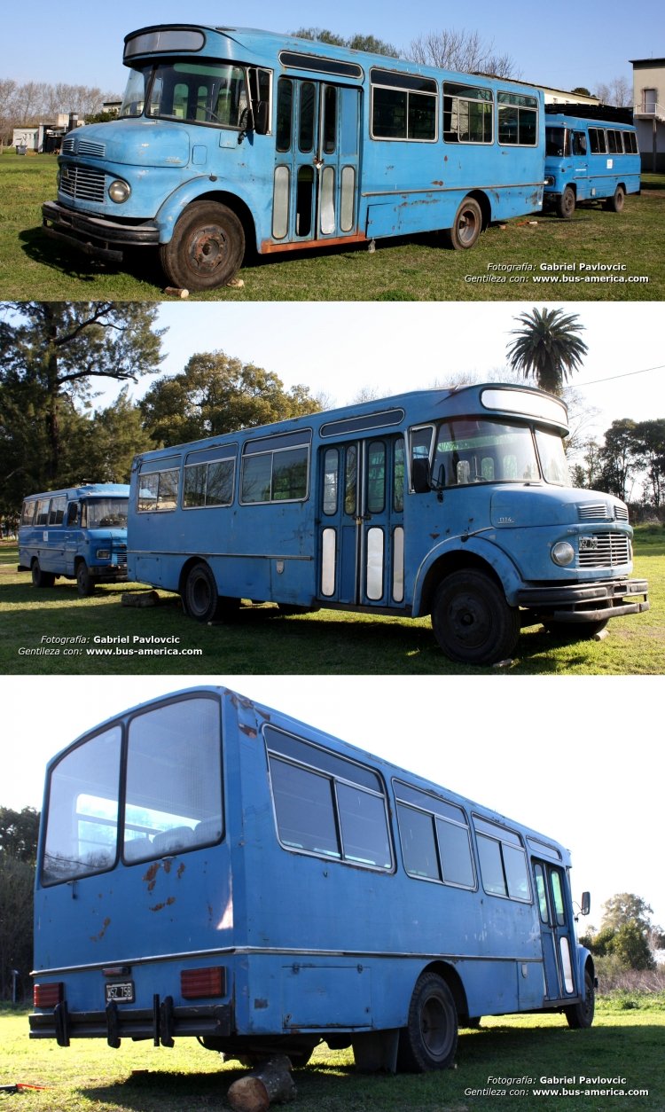 Mercedes-Benz LO 1114 - Torino - Fuerza Aérea Argentina
C.1235599 (originalmente) - WSZ758

Fotografía y gentileza: Gabriel Pavlovcic
