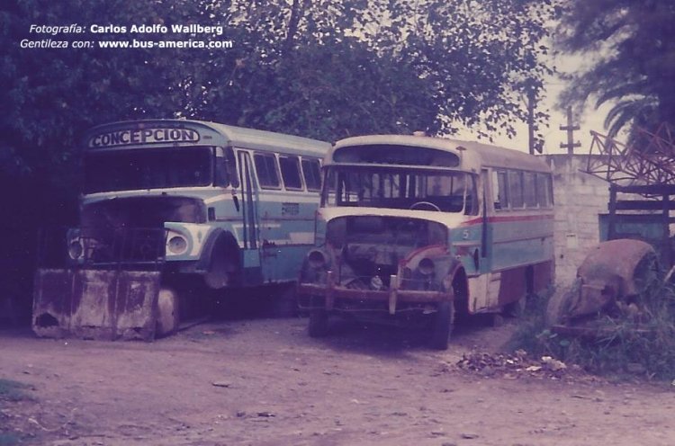 Mercedes-Benz LO 1112 - La Porteña &  Mercedes-Benz LO 911 - Colonnese
http://galeria.bus-america.com/displayimage.php?pos=-22404 [2º]
Fotografía: Carlos Adolfo Wallberg

[Datos de izquierda a derecha]
