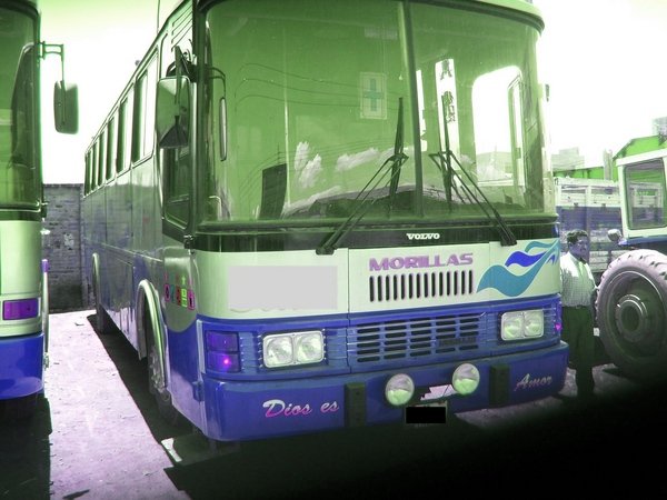 Bus Peruano
