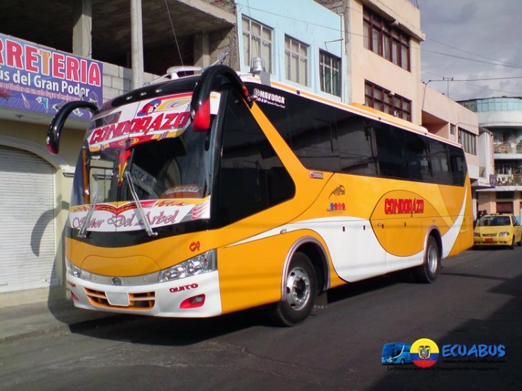 Mayorga
