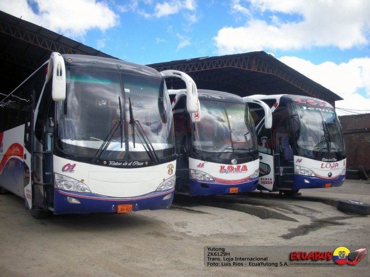 Yutong ZK6129H (en Ecuador) Loja Internacional
foto: www.ecuabus.net
Palabras clave: Ecuabus