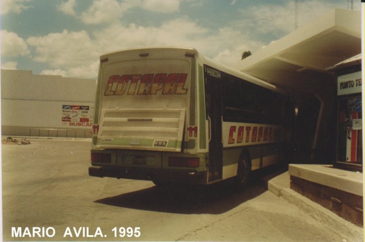 Mercedes-Benz OH 1316 - Bus Tango - COTAPAL
C.1716517
[url=https://galeria.bus-america.com/displayimage.php?pos=-20071]https://galeria.bus-america.com/displayimage.php?pos=-20071[/url]
[url=https://bus-america.com/galeria/displayimage.php?pid=68669]https://bus-america.com/galeria/displayimage.php?pid=68669[/url]

Fotografía: Mario Daniel Avila

Para conocer la história de esta empresa acceda al siguiente vínculo:
http://revista.bus-america.com/Notas/COTAPAL.htm

