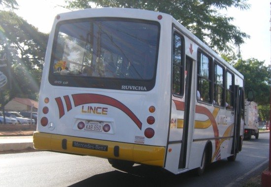 Mercedes-Benz LO 915 - Ruvicha - Lince
