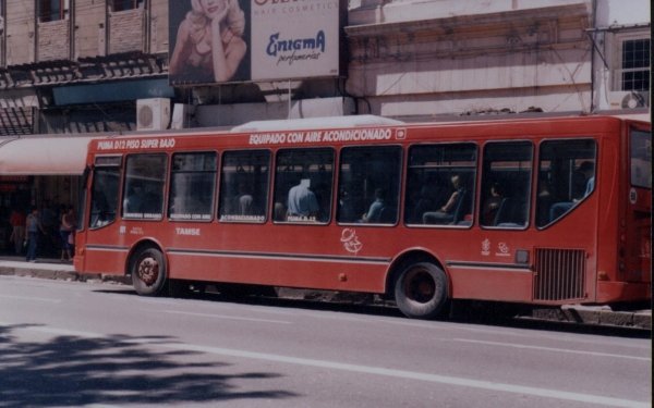PUMA  EN  TAMSE .
OTRA  VISTA, MAS  CERCA , DEL  MISMO.
