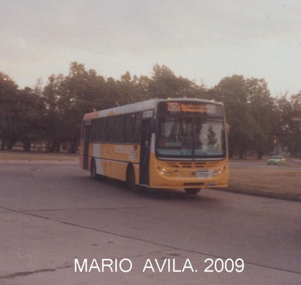 CONIFERAL   SACF
PARQUE  SARMIENTO .
